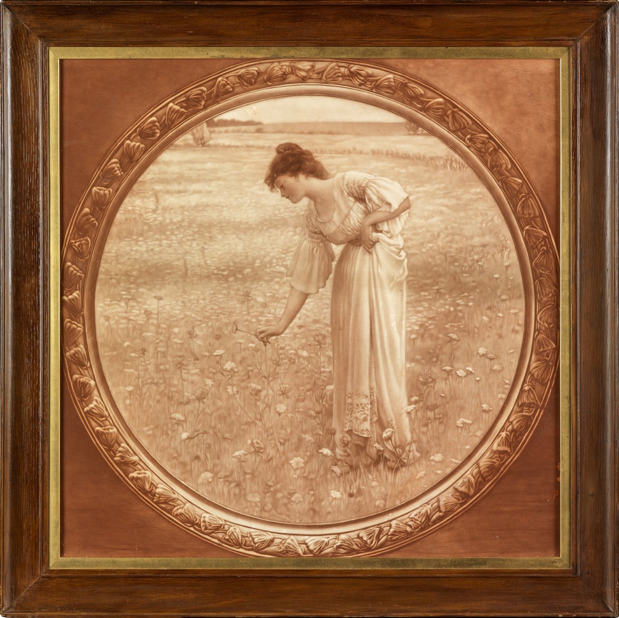 Květiny pole (fotografická reprodukce vytištěná v sépiové barvě) od William Henry Margetson