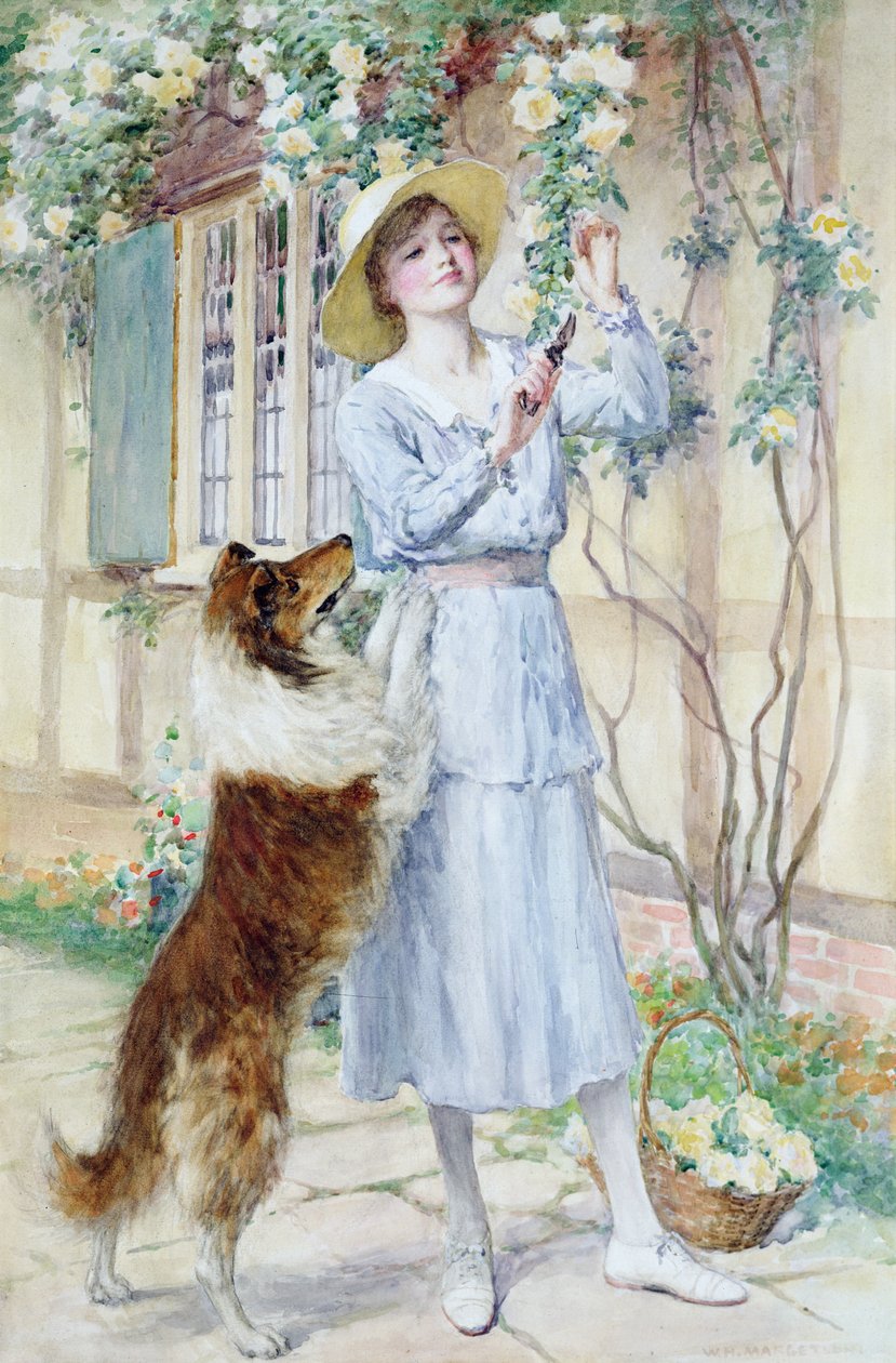 Trhání růží (akvarel na papíře) od William Henry Margetson