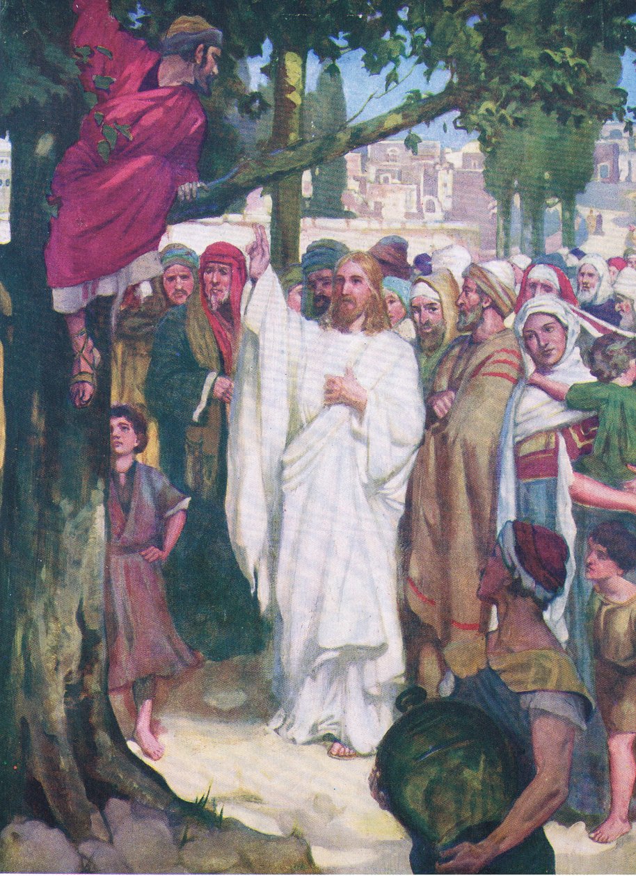 Zacheus, z The Bible Picture Book vydané Thomasem Nelsonem, kolem roku 1950 od William Henry Margetson