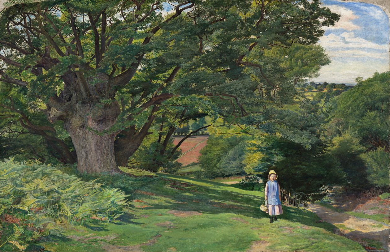 Hayes Common od William Henry Millais