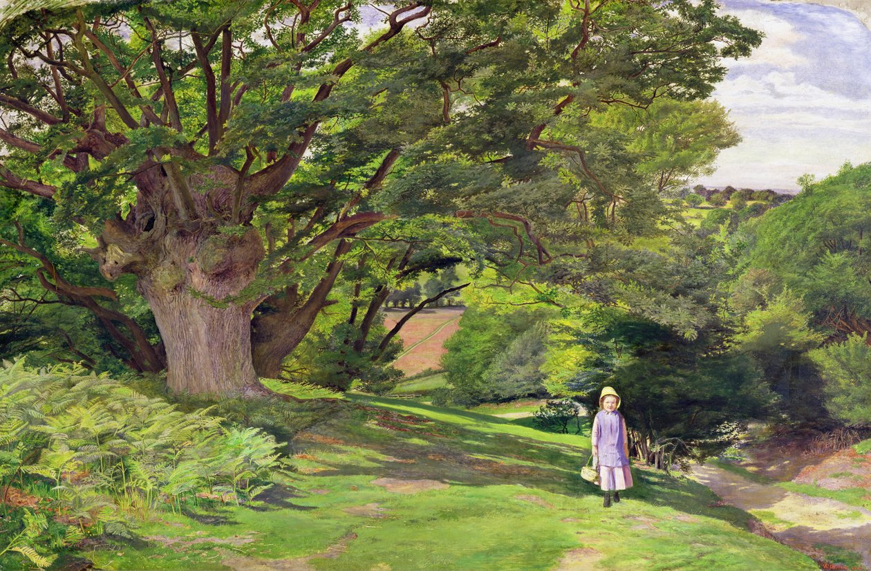 Hayes Common, 1852-53 od William Henry Millais