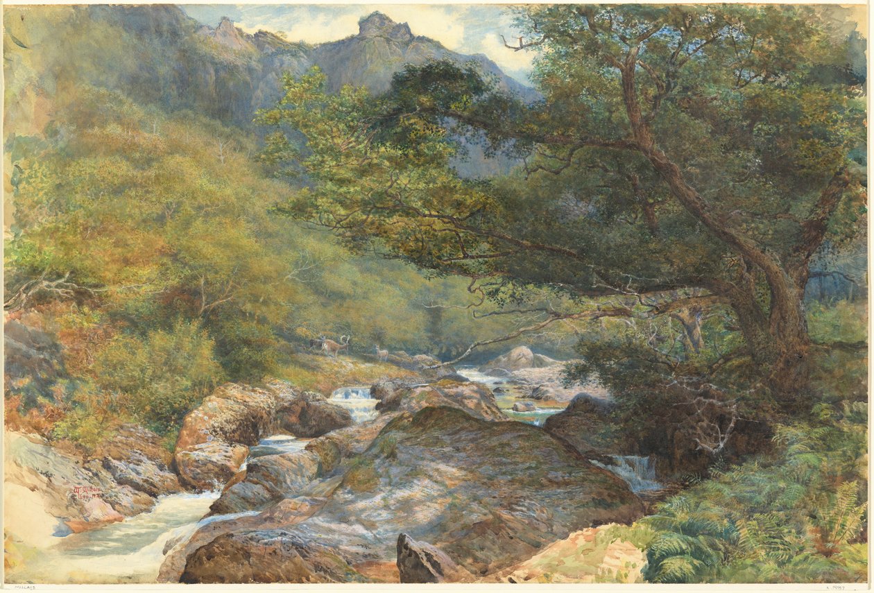 Na East Lyn, Severní Devon od William Henry Millais