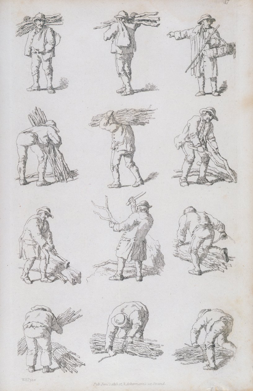 Ilustrace z 