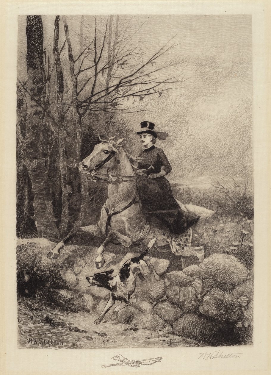 Po Honících od William Henry Shelton