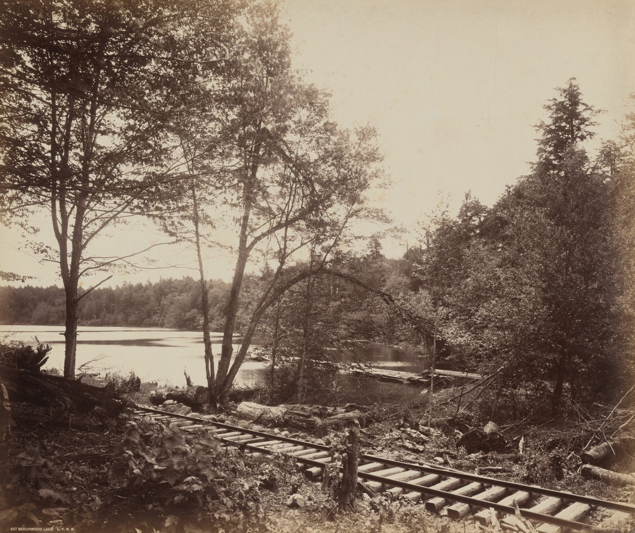Beechwood Lake,c. 1895 (foto) od William Herman Rau