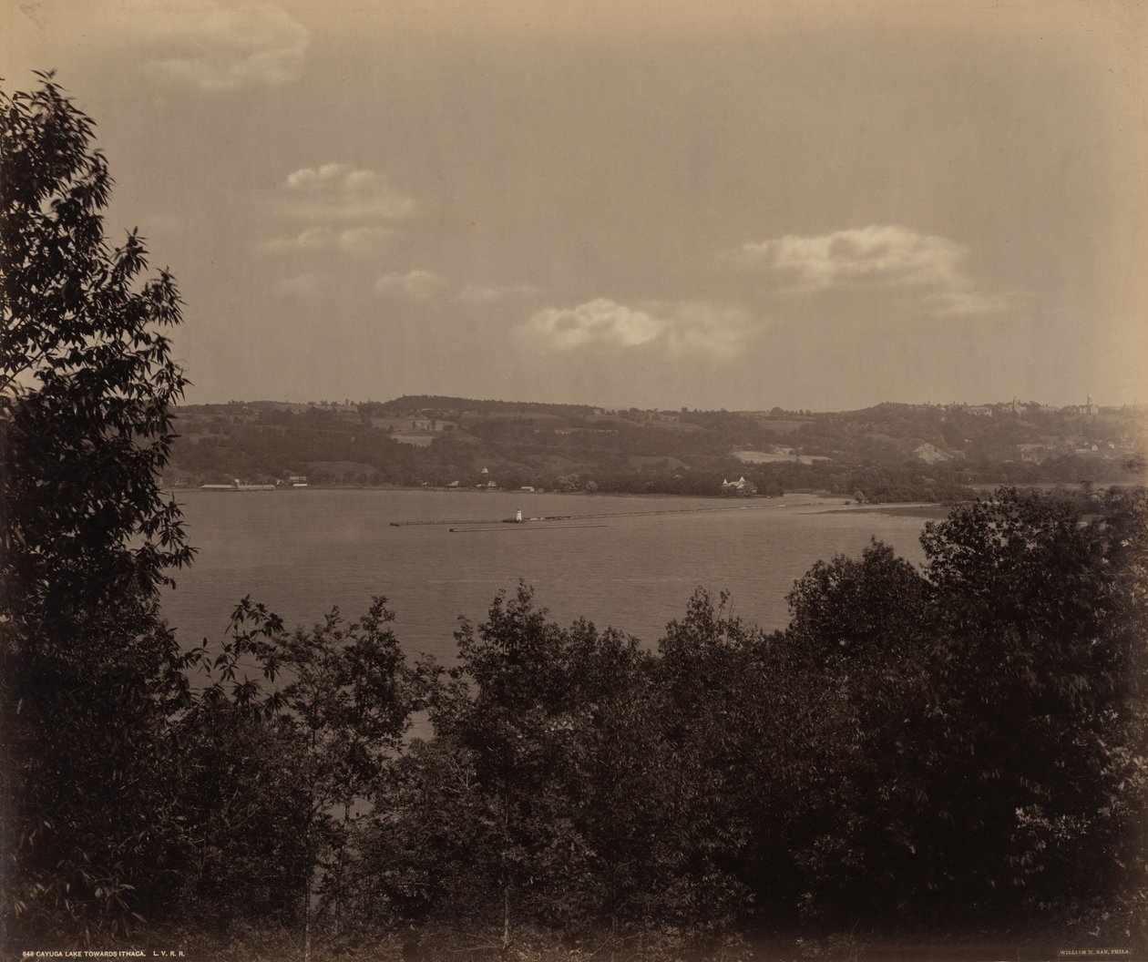 Jezero Cayuga směrem k Ithace,c. 1895 (foto) od William Herman Rau