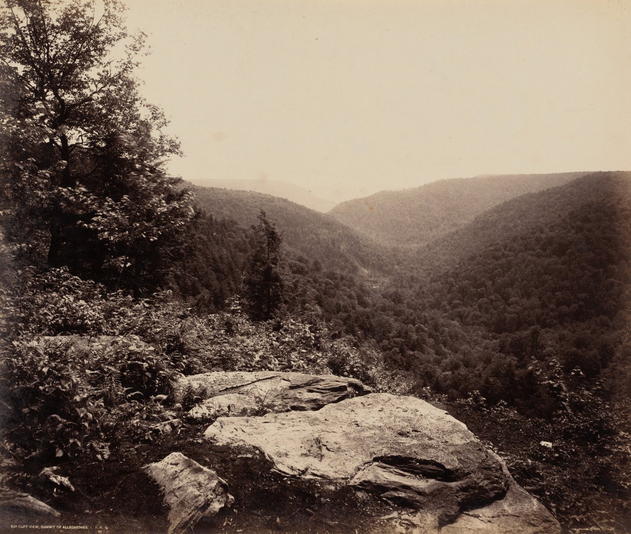 Pohled na útesy, vrchol Alleghenies,c. 1895 (foto) od William Herman Rau