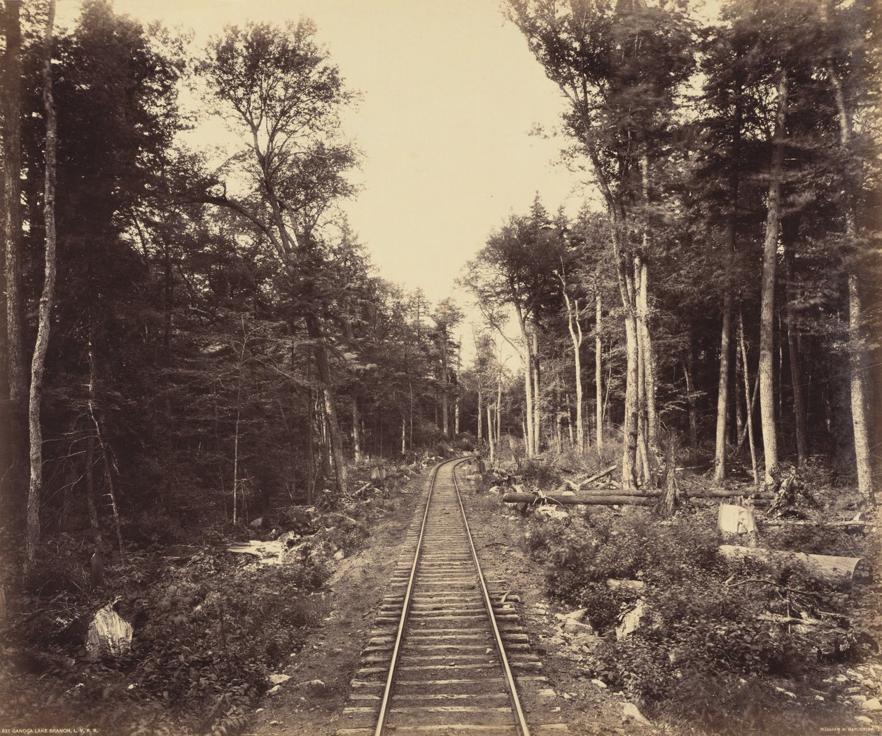 Odbočka Ganoga Lake Branch, asi 1895 (foto) od William Herman Rau