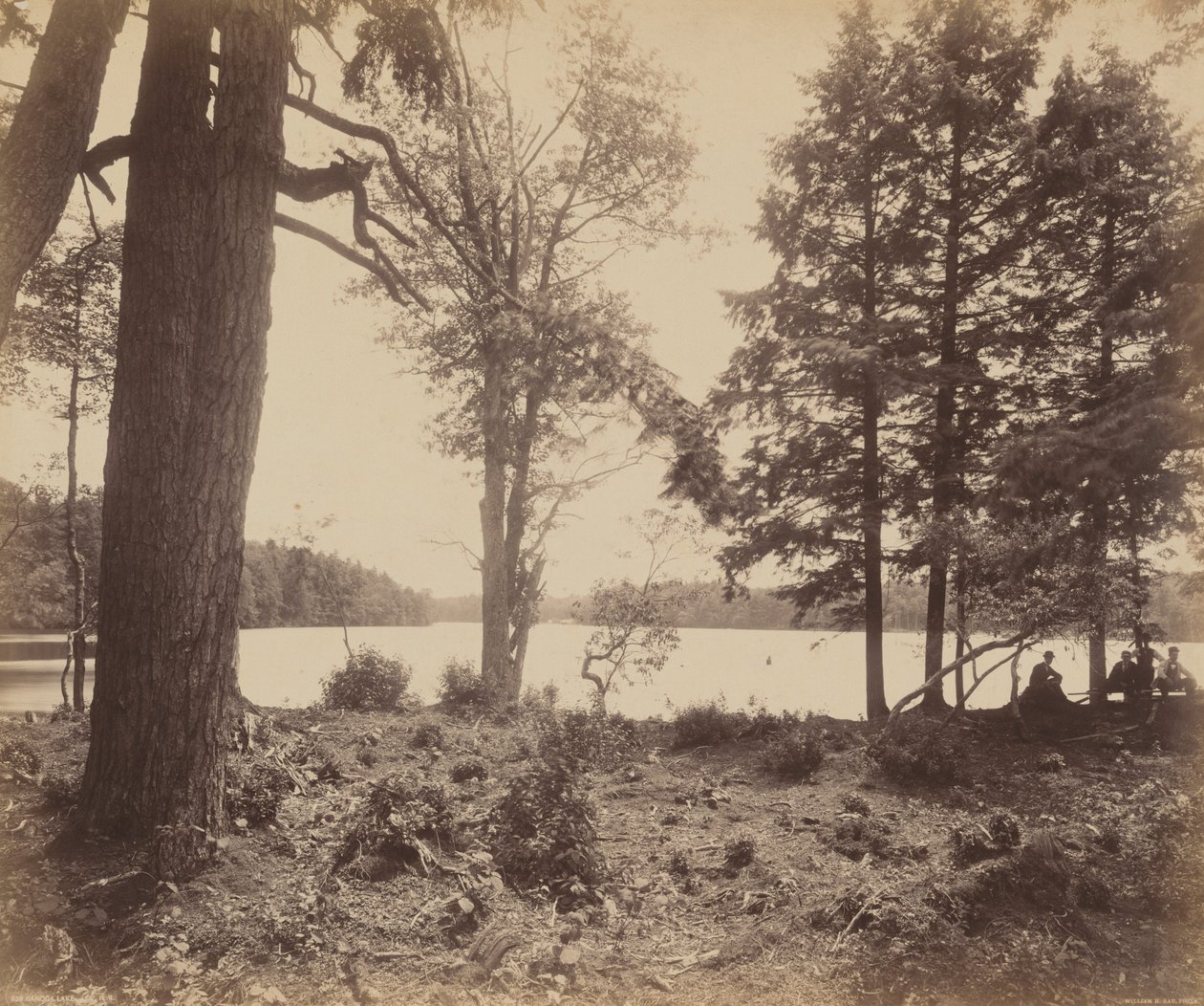 Jezero Ganoga, asi 1895 (foto) od William Herman Rau