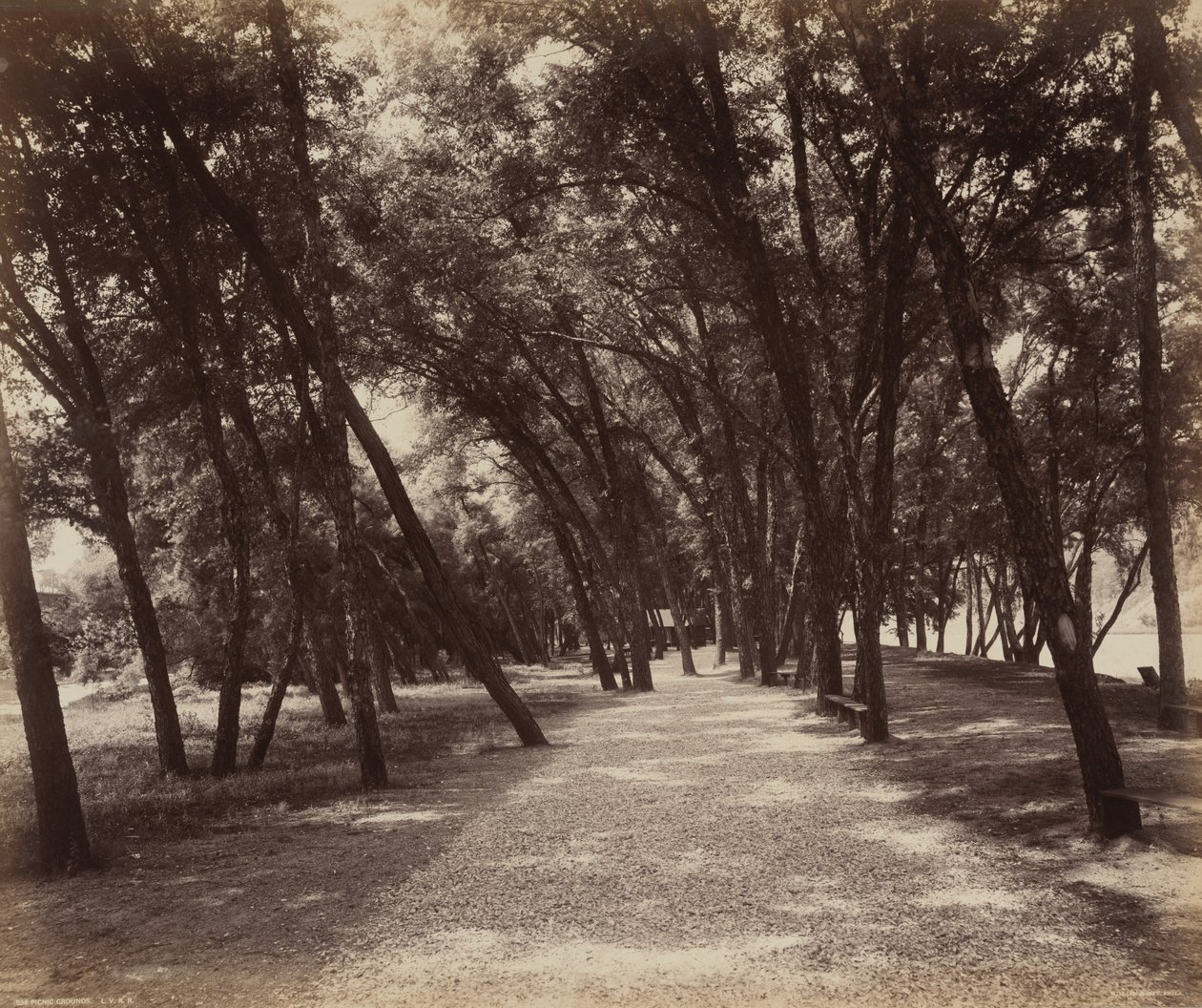 Pikniková hřiště,c. 1895 (foto) od William Herman Rau
