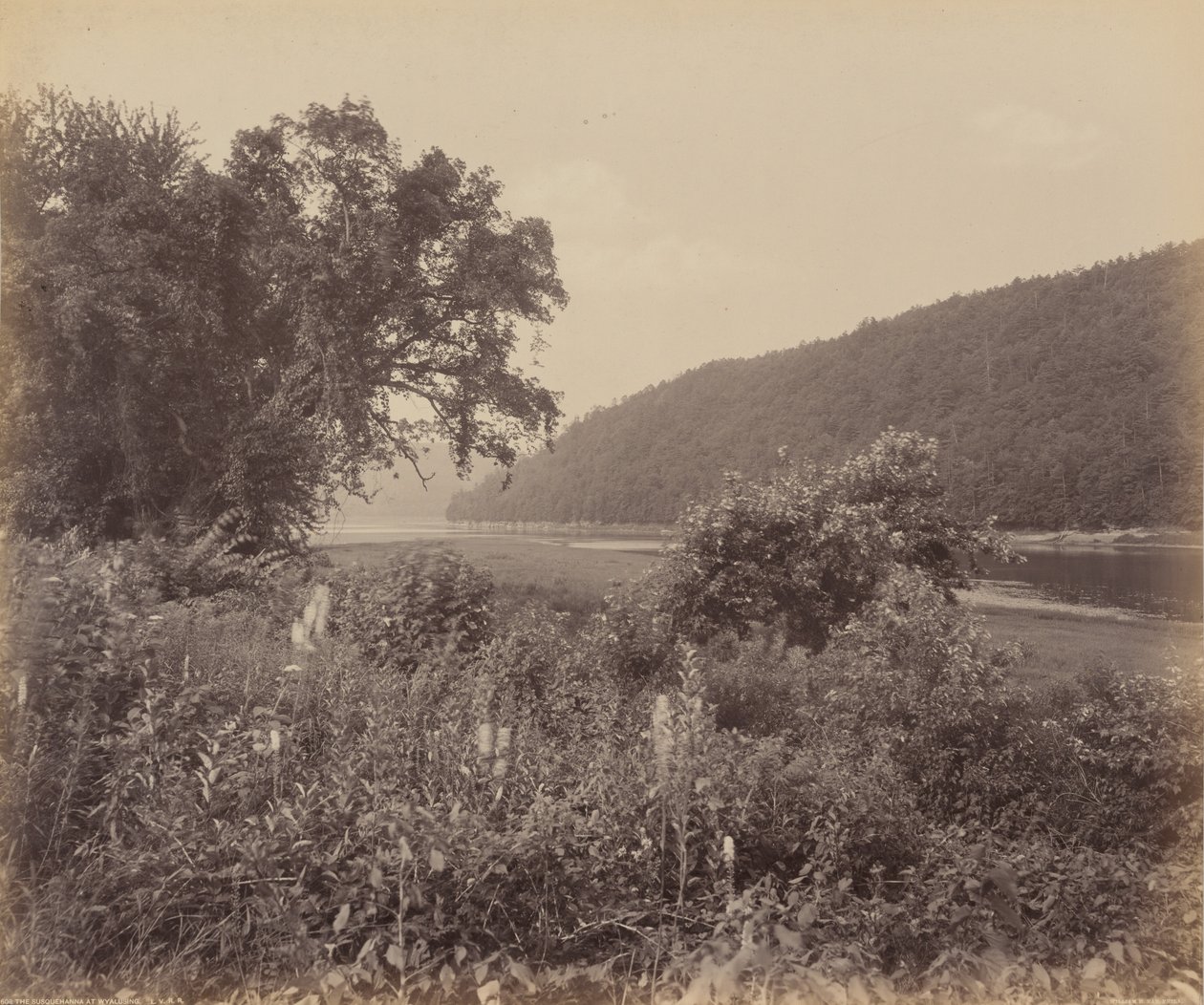 Susquehanna u Wyalusingu,c. 1895 (foto) od William Herman Rau