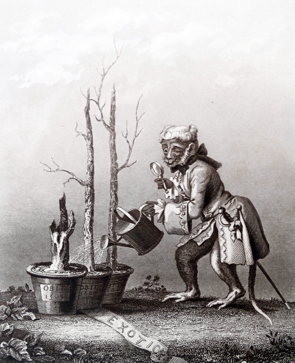 Tail Piece taiteilijaluetteloon od William Hogarth