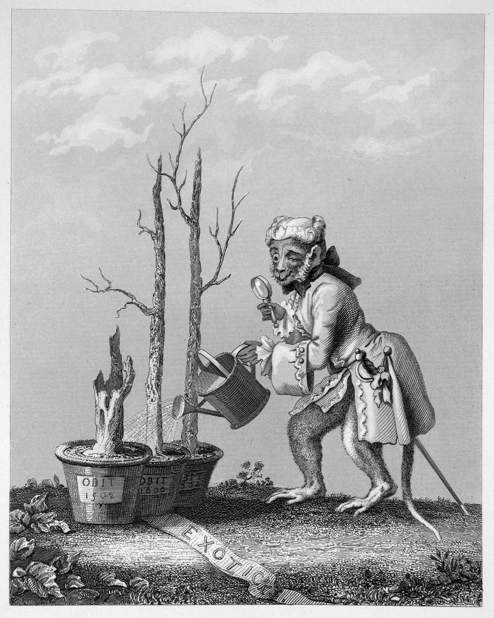 Ocas, kus do katalogu umělců, 1761 od William Hogarth
