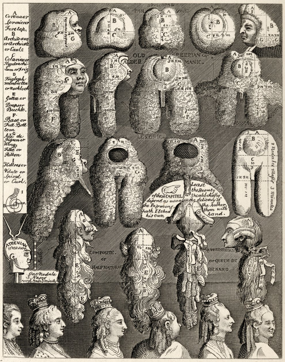 The Five Orders of Perriwigs, z 