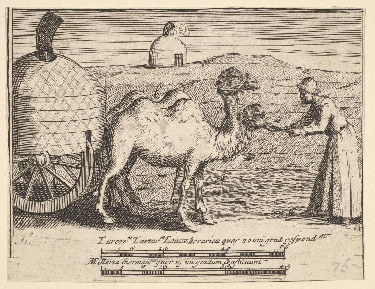 Dva dromedáři Aubry de La Mottrayes cestuje po Evropě, Asii a do části ..., 1723-24. od William Hogarth