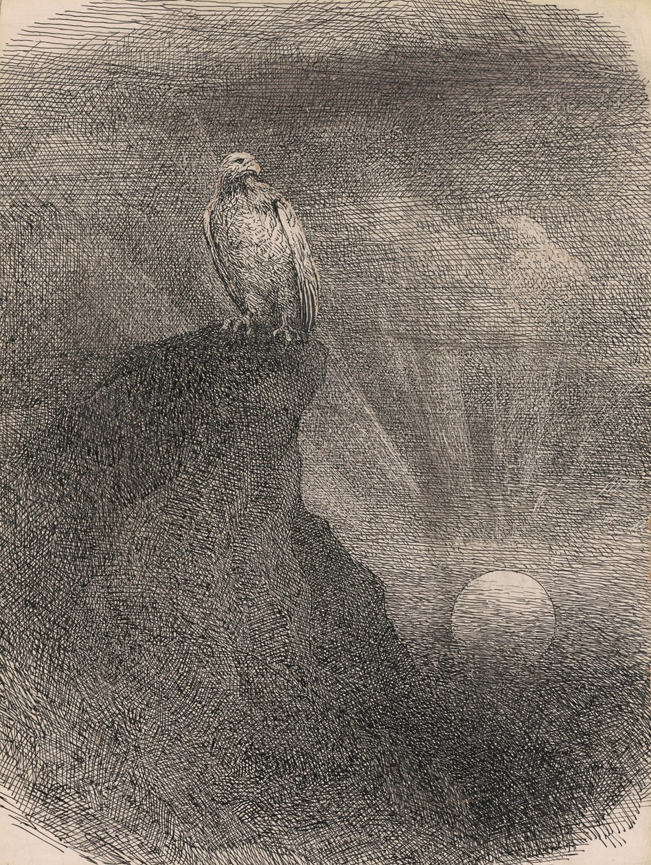 Genius, 1865-95 (pero, inkoust a grafit na kartonu) od William Holbrook Beard