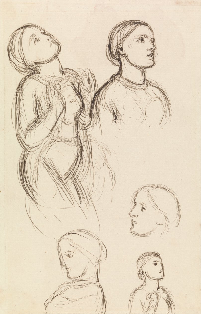 Studie Edith Holman Hunt od William Holman Hunt
