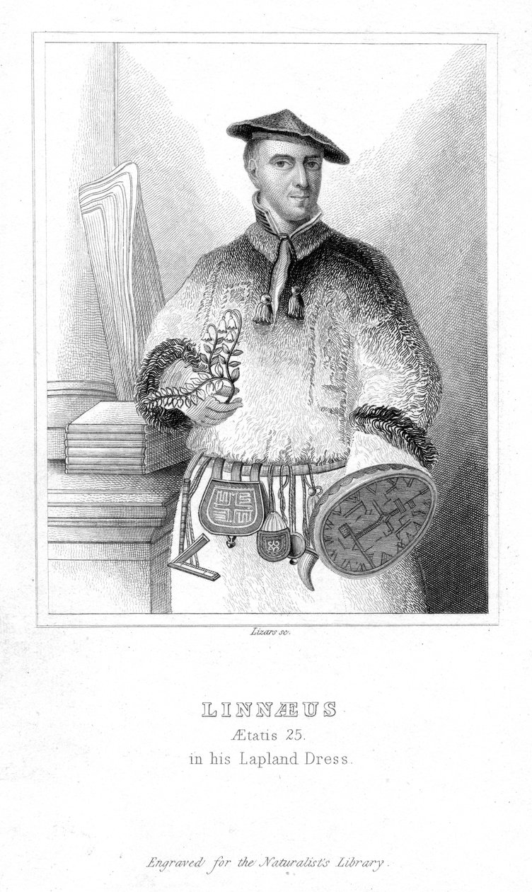 Carolus Linnaeus, švédský přírodovědec, 1732 počátek 19. století od William Home Lizars