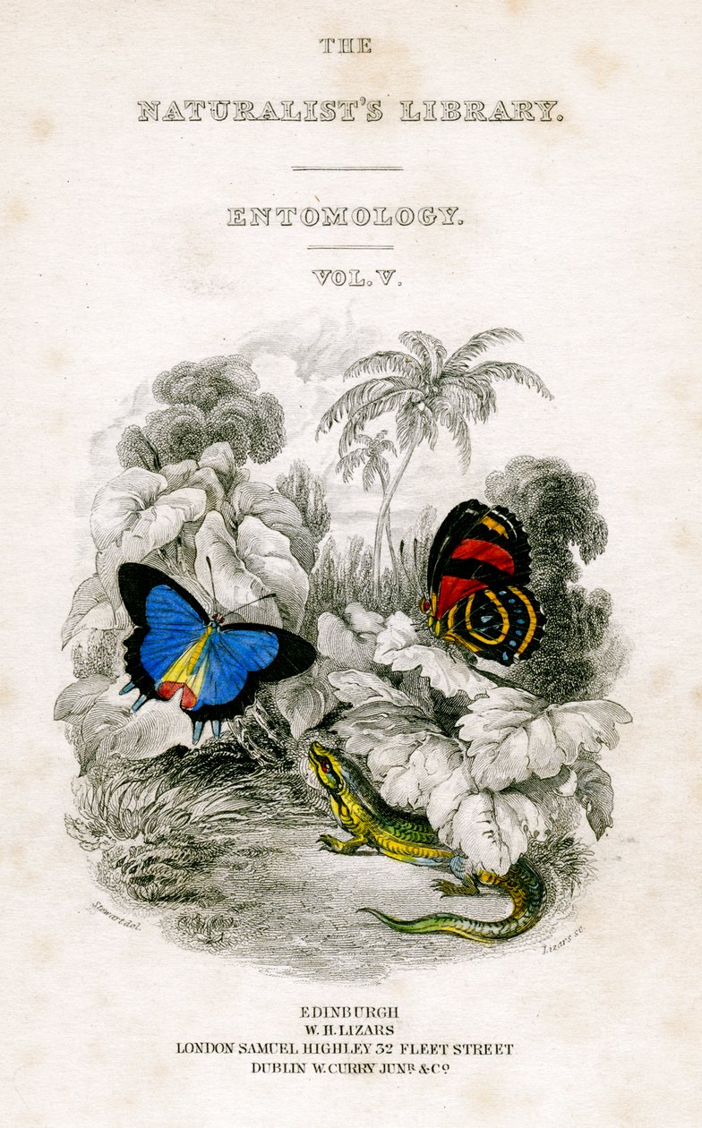 The Naturalists Library, Entomology, Vol V, Butterflies, c1833-1865. od William Home Lizars