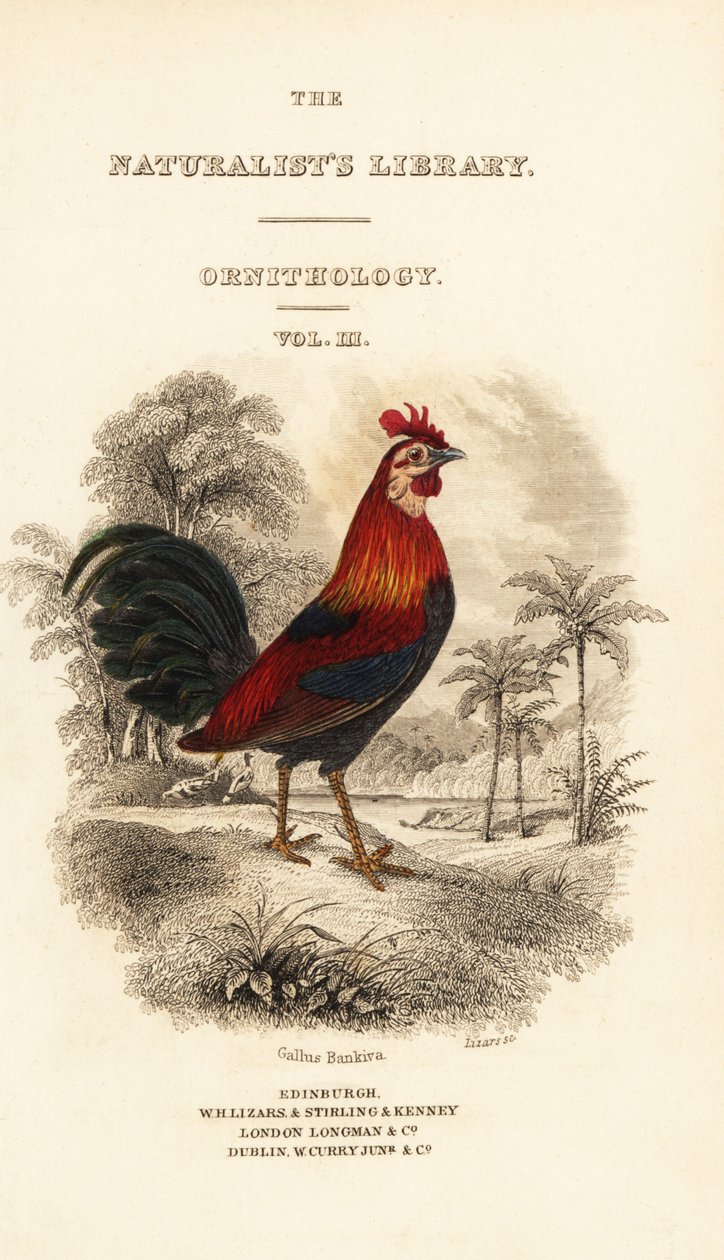 Titulní strana s vinětou červeného junglefowl (Jáva), Gallus gallus bankiva od William Home Lizars