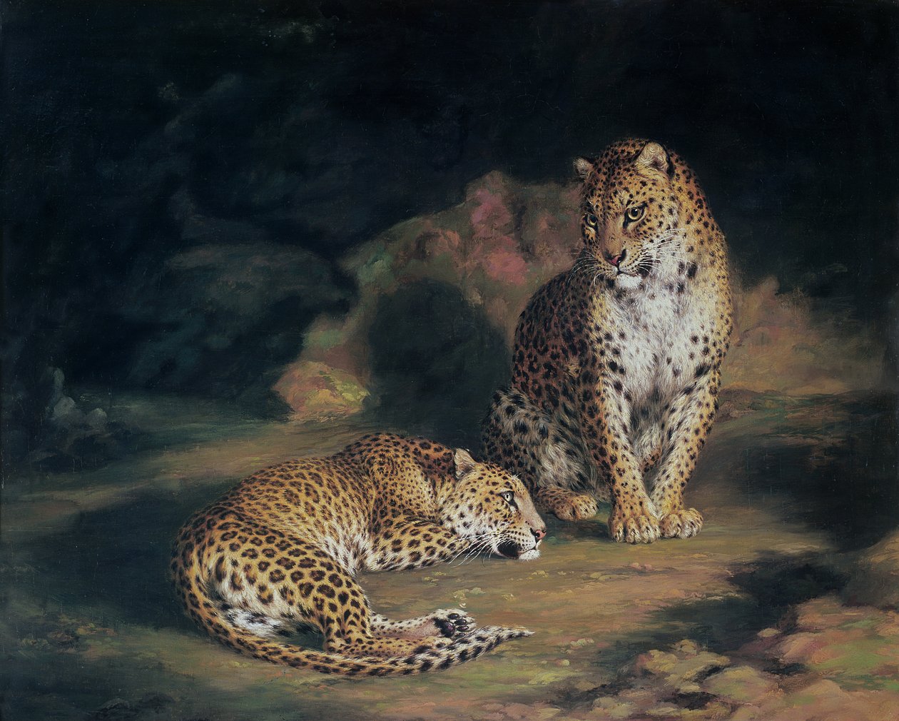 Pár leopardů, 1845 od William Huggins