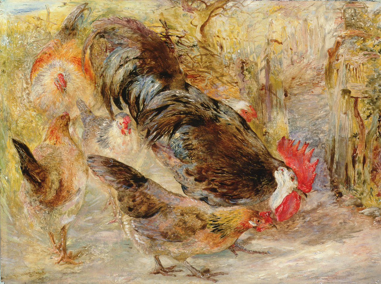 Barn Door Fowl (Rhode Island Reds), 1860 od William Huggins