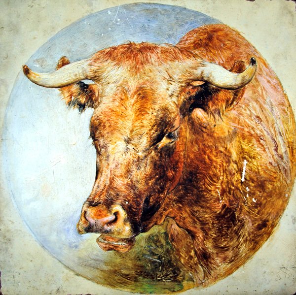 Hlava krávy Longhorn od William Huggins