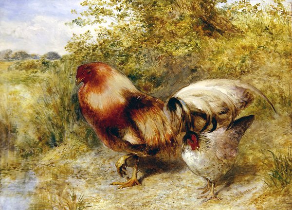 Drůbež v krajině od William Huggins