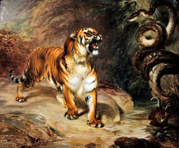 Tygr a krajta od William Huggins