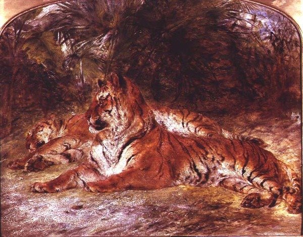 Tygři (olej na palubě) od William Huggins