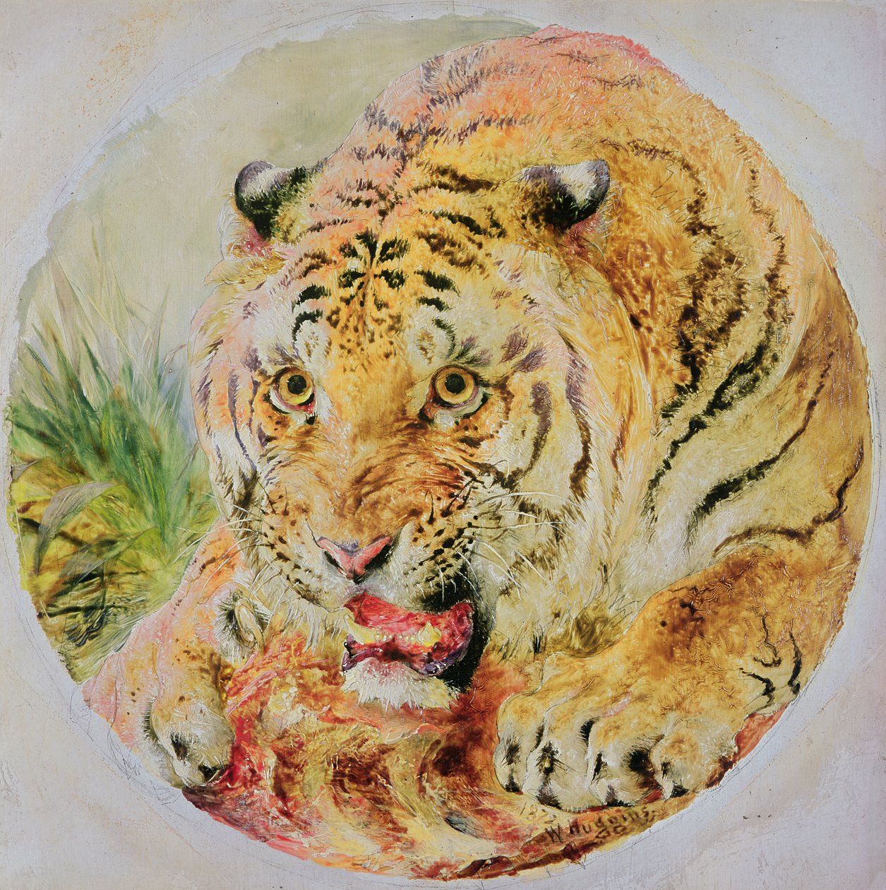 Tygří hlava od William Huggins