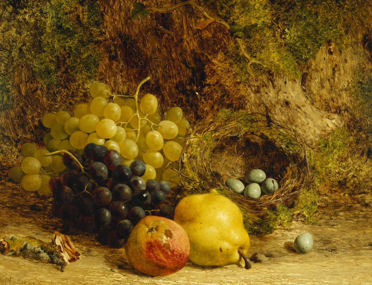 Hrozny, jablko, hruška a ptačí hnízdo na mechovém břehu, 1865 od William Hughes