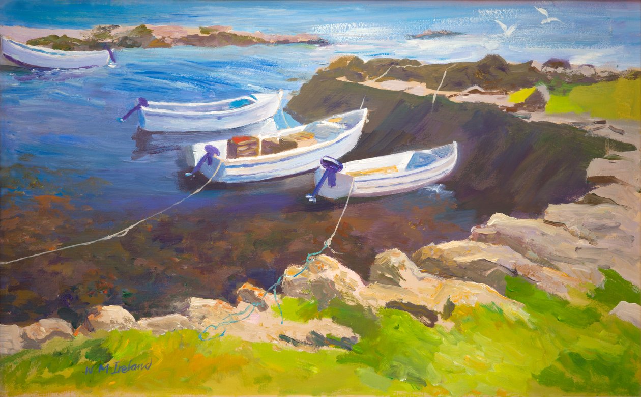 Rocky harbor (ropa na palubě) od William Ireland