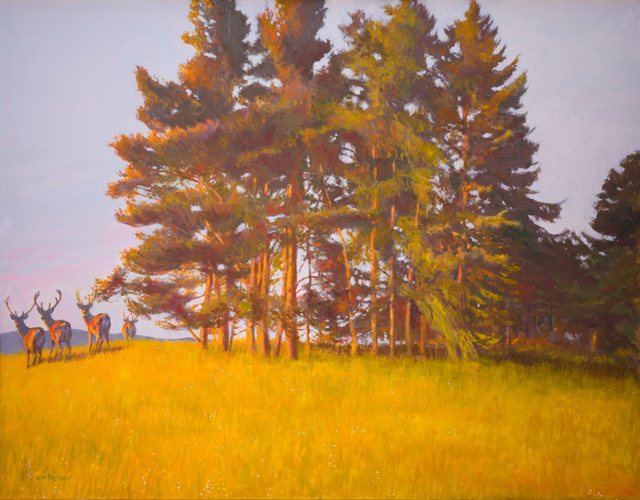Pohled z kabiny (olej na palubě) od William Ireland