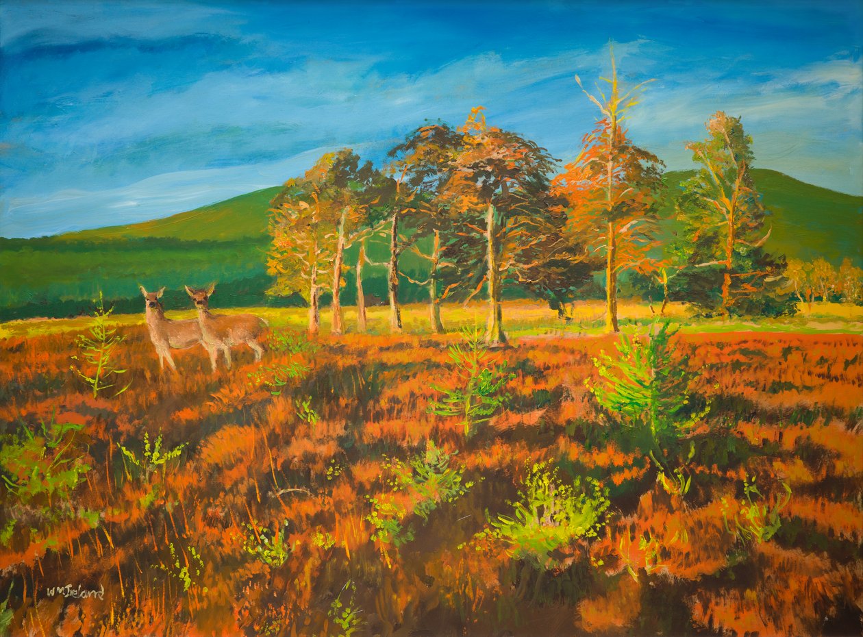 Ne. Aviemore, Skotsko (olej na palubě) od William Ireland