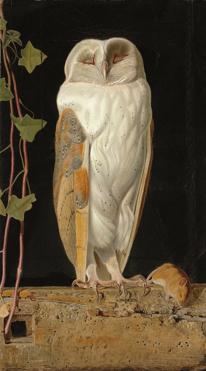 Bílá sova: „Bílá sova ve zvonici sedí sama a zahřívá svých pět rozumů“, 1856 od William J. Webbe