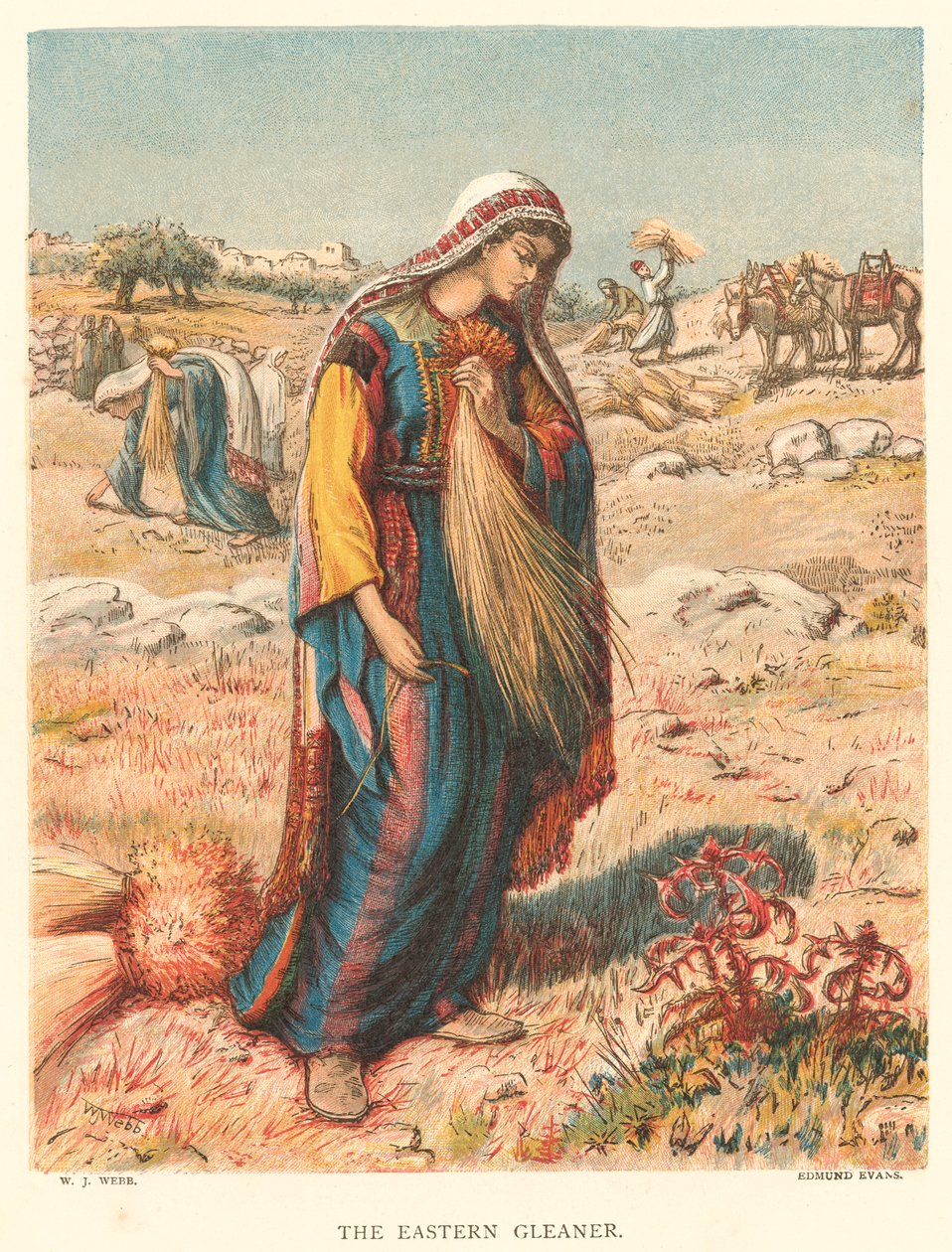 The Eastern Gleaner (kolorovaná rytina) od William J. Webbe or Webb