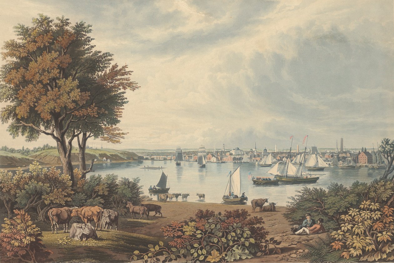 Baltimore Taken near Whetstone Point, publikoval 1831. od William James Bennett