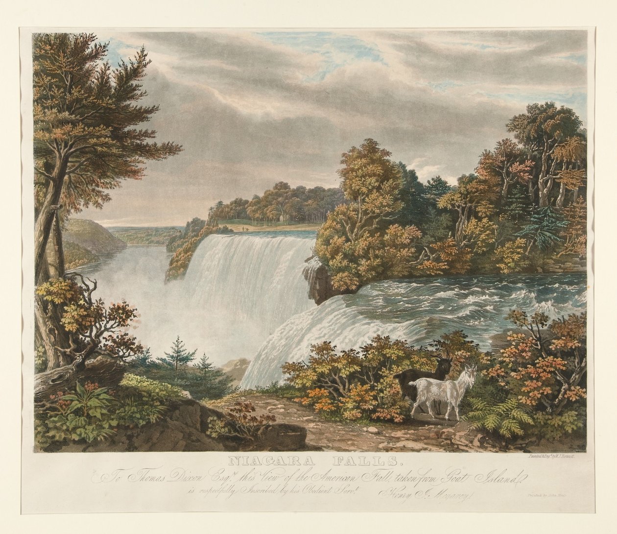 Niagarské vodopády. Thomasu Dixonovi Esq. je uctivě věnován tento pohled na americký vodopád, pořízený z Goat Island od William James Bennett