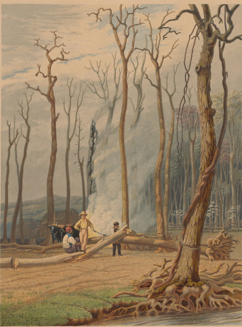 Jaro - pálení padlých stromů na opásané mýtině. Westernová scéna, 1841. od William James Bennett