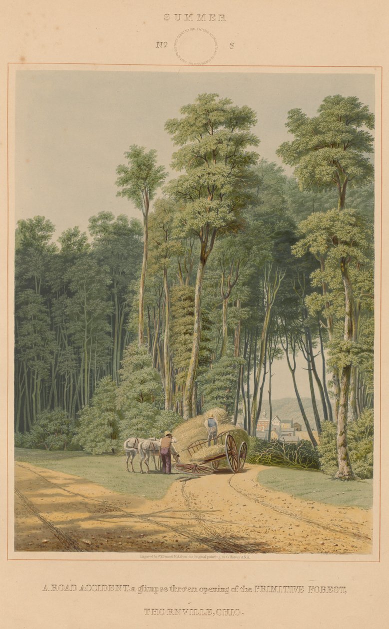 Léto - silniční nehoda. Letmý pohled na otevření Primitivního lesa. Thornville, Ohio od William James Bennett after George Harvey