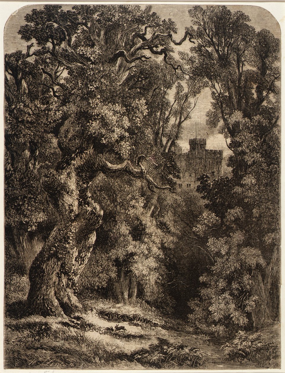 Krajina od William James Linton