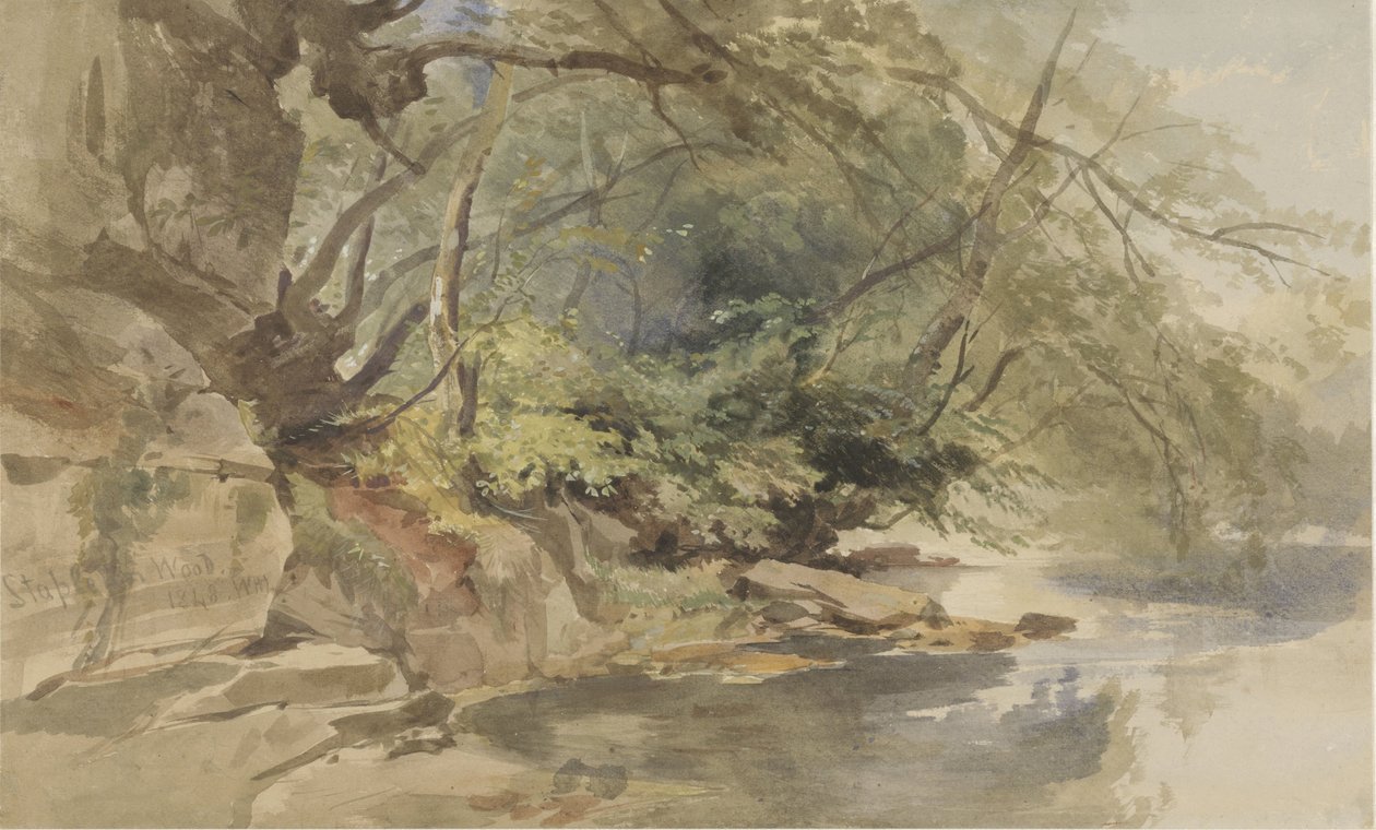 Tvář v Stapleton Wood poblíž Bristolu od William James Muller