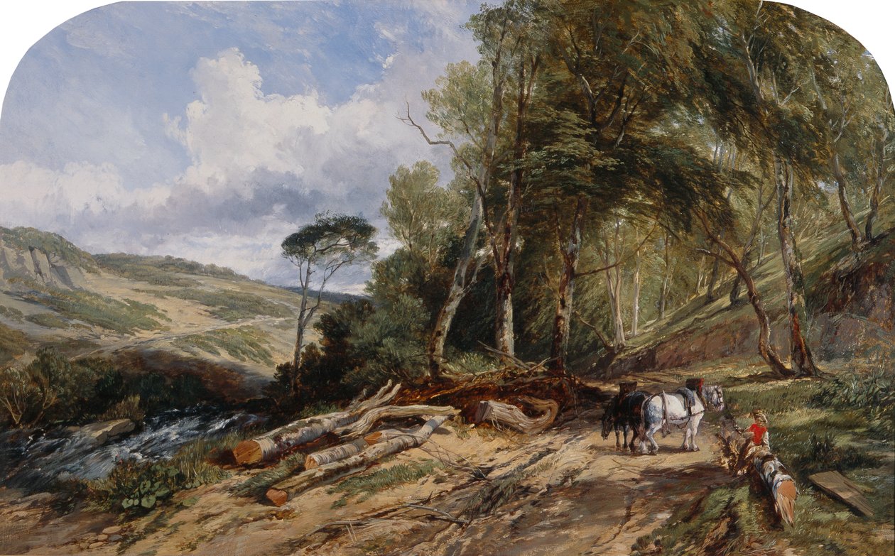 Odvoz dřeva (olej na plátně) od William James Muller
