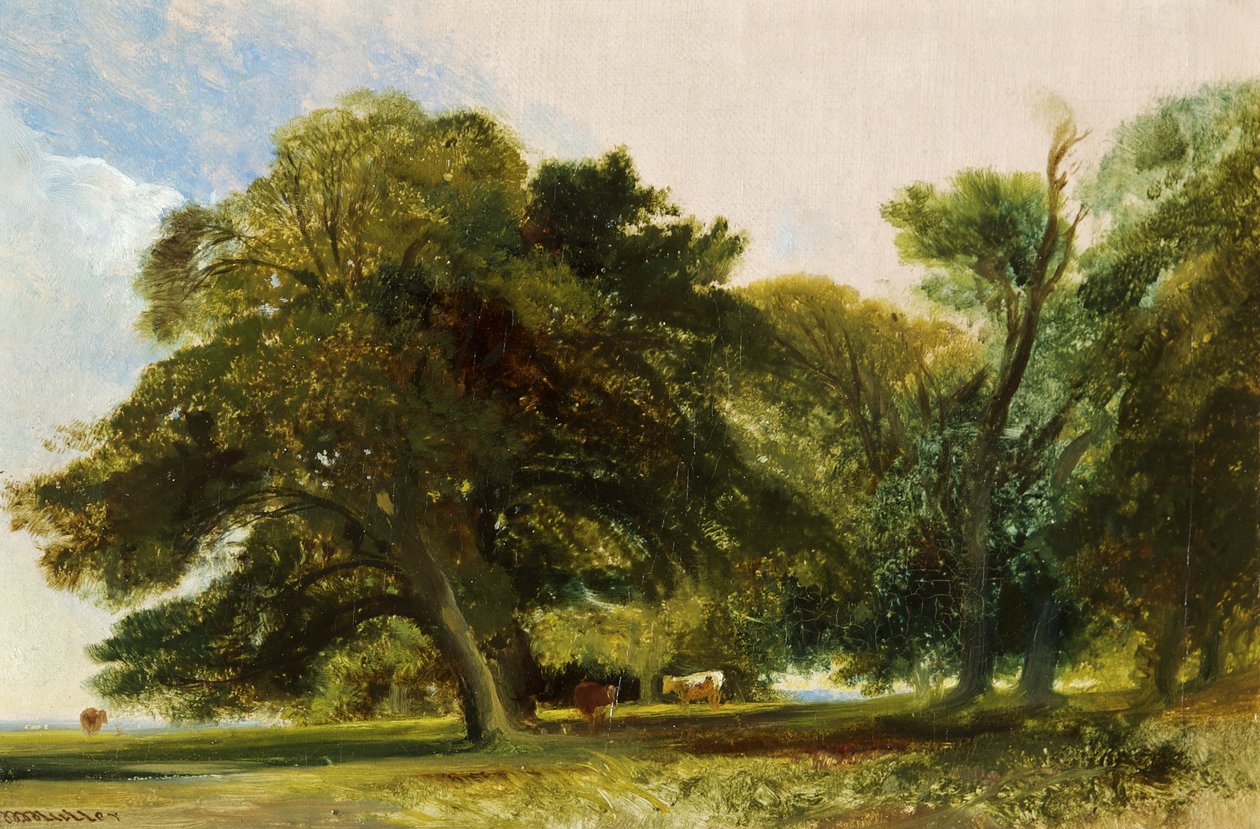 Kingsweston Park - Sketch, c.1833 (olej na plátně) od William James Muller