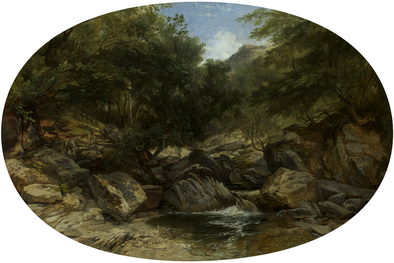 Rocky Stream v Lynmouthu od William James Muller