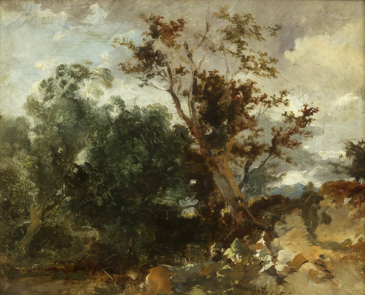 Study of Trees, cca 1840 (olej na mědi) od William James Muller