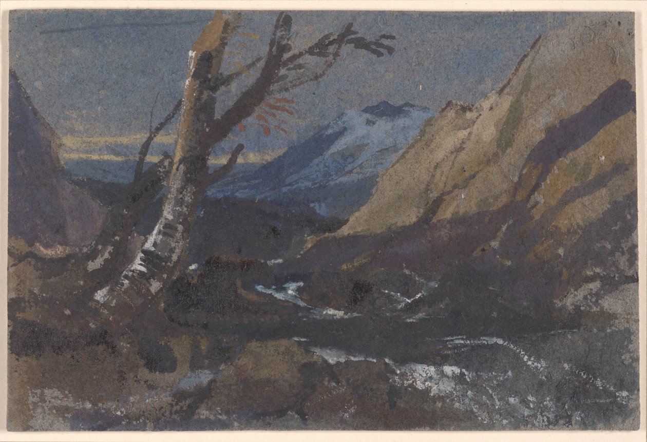 Studie stromů u horského potoka od William James Muller