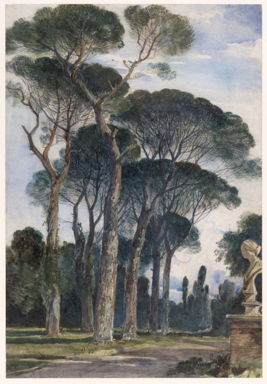 Pinie ve vile Borghese v Římě od William James Muller