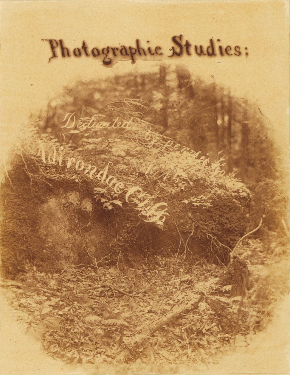 Bez názvu, z portfolia The Forest: Adirondacký les od William James Stillman